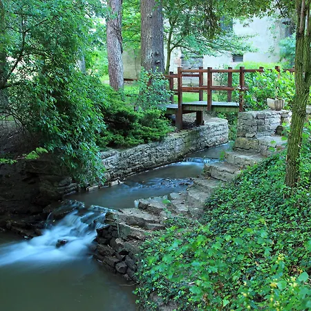 Du Moulin De La Brevette 3* Arbigny