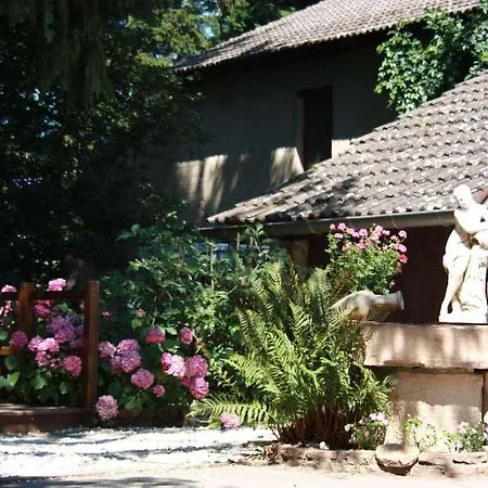Hotel Du Moulin De La Brevette 3*