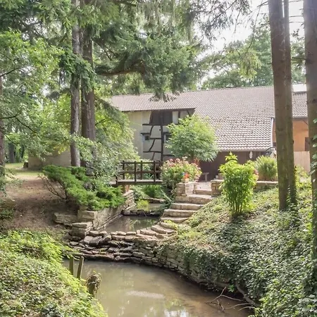Hotel Du Moulin De La Brevette Arbigny